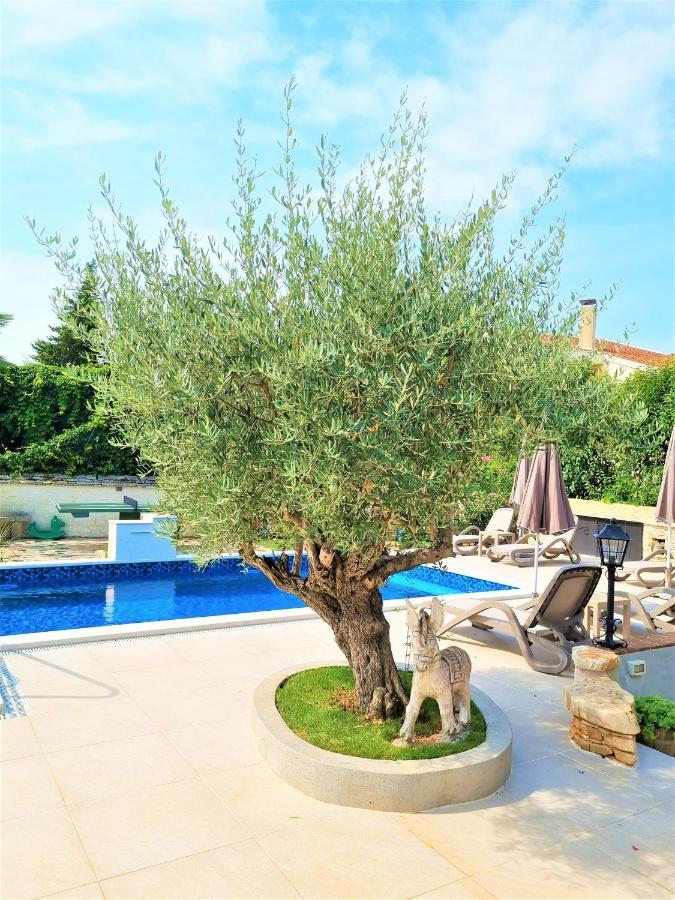 Apartment Villa Engel With Pool Poreč Exteriér fotografie